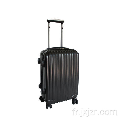 Bagage PC en ABS brossé Double Spinner Texture